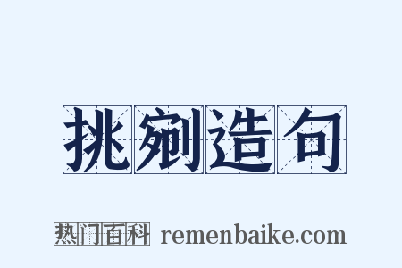 挑剜造句是什么意思的图片